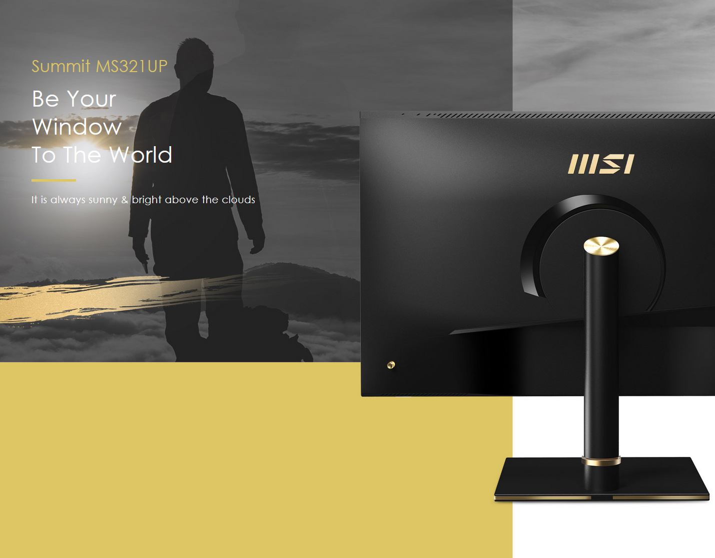 MSI Monitor